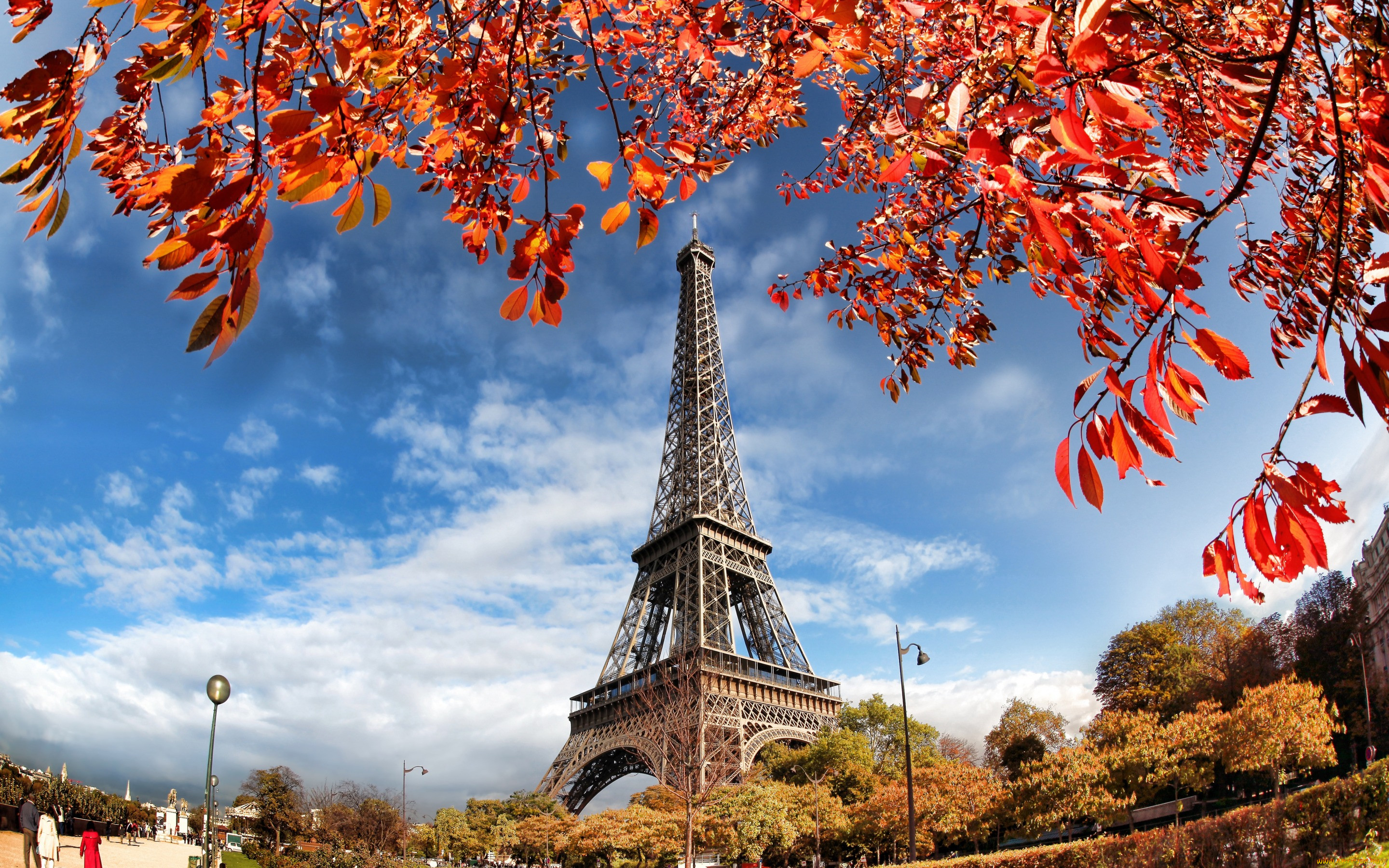 ,  , , leaves, cityscape, autumn, paris, eiffel, tower, 